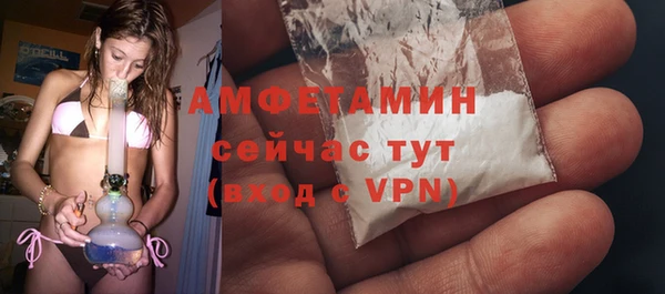 прущие грибы Волоколамск
