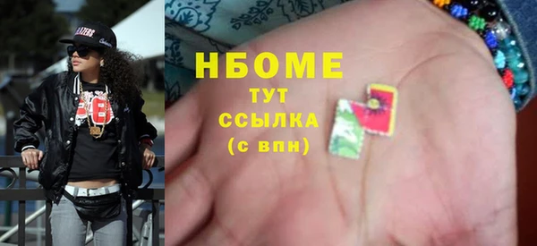 прущие грибы Волоколамск