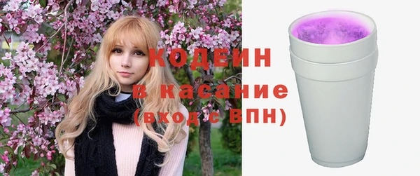 прущие грибы Волоколамск